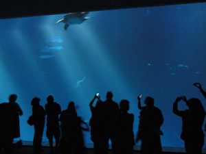 Exterior view of the Monterey Bay Aquarium